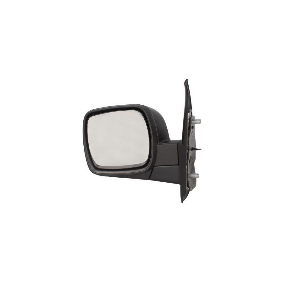 Blic 5402-04-1121563P Wing Mirror For Renault Kangoo