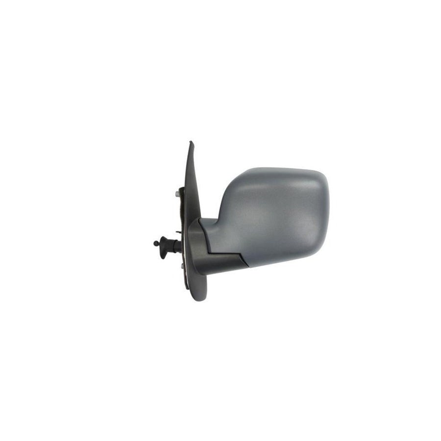 Blic 5402-04-1121561P Wing Mirror For Renault Kangoo