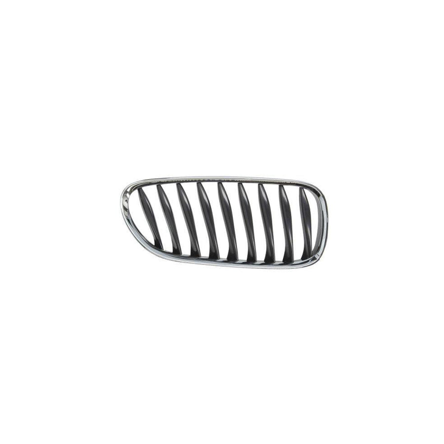 Blic 6502-07-0089992P Radiator Grille For BMW Z4