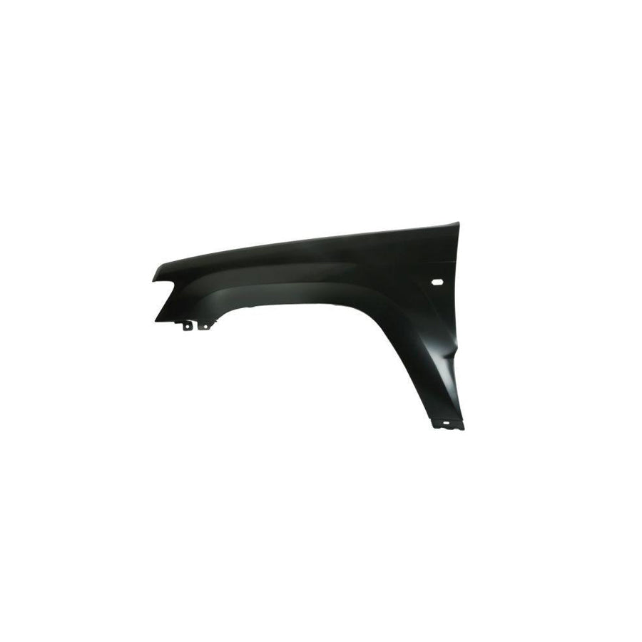 Blic 6504-04-3205313P Wing Fender For Jeep Grand Cherokee III (Wh, Wk)