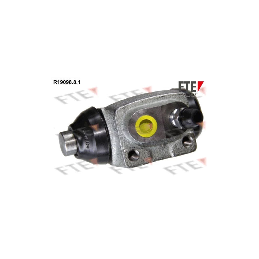 Fte R19098.8.1 Wheel Brake Cylinder | ML Performance UK Car Parts