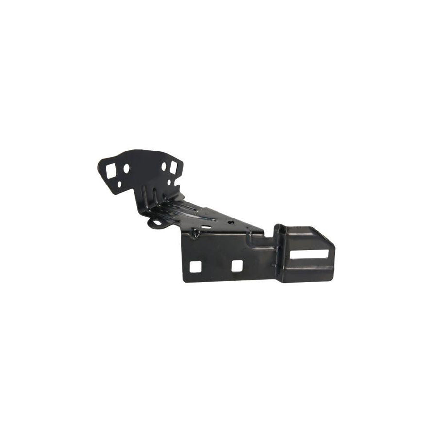 Blic 7802-03-5509382P Holder, Mudguard For Peugeot 208