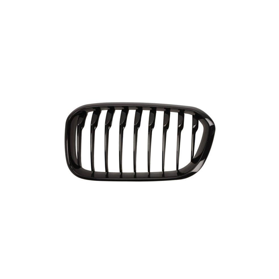 Blic 6502-07-0086997P Radiator Grille For BMW 1 Series