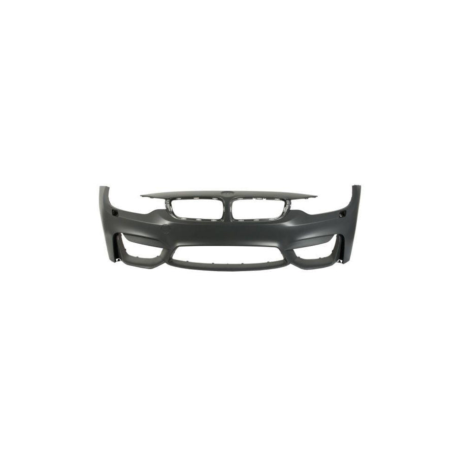 Blic 5510-00-0063916Mp Bumper