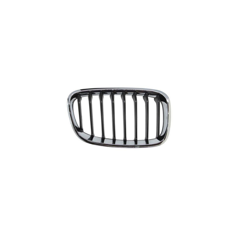 Blic 6502-07-0086996P Radiator Grille For BMW 1 Series