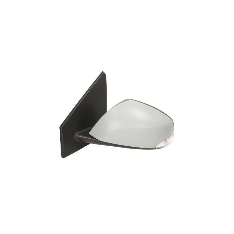 Blic 5402-04-1121588P Wing Mirror For Renault Megane