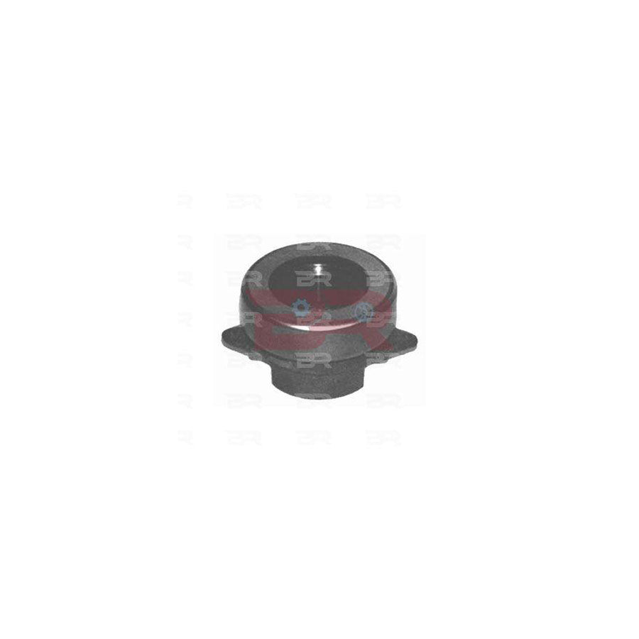 Botto Ricambi BRF2291 Clutch Release Bearing