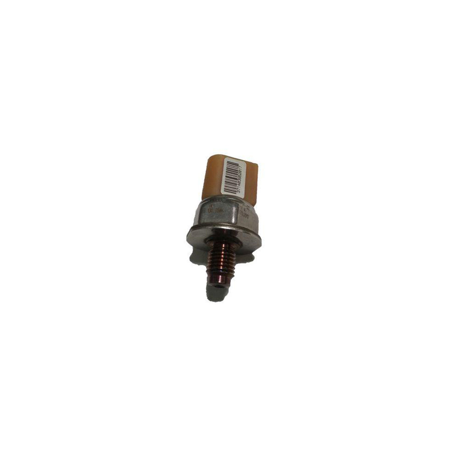 Bugiad BSP24901 Fuel Pressure Regulator