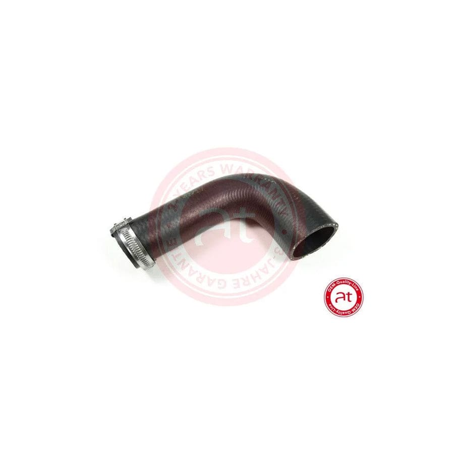 At Autoteile Germany at20665 Charger Intake Hose For Renault Kangoo Ii / Grand Kangoo (Kw)