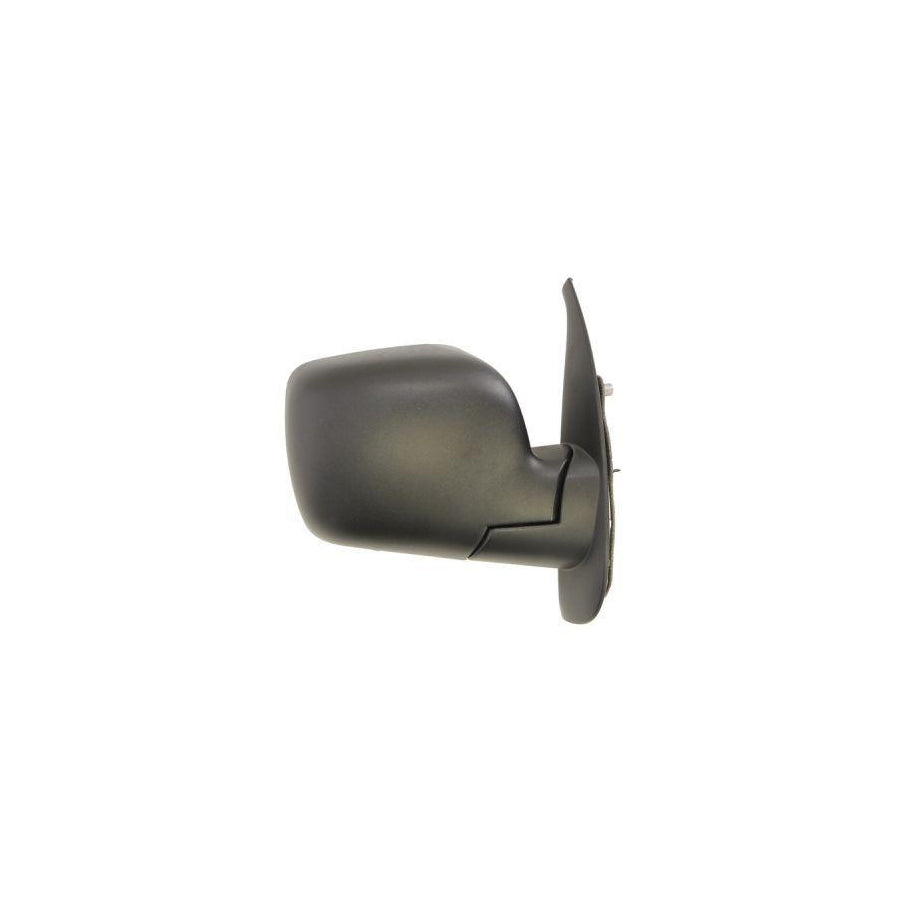 Blic 5402-04-1121586P Wing Mirror For Renault Kangoo