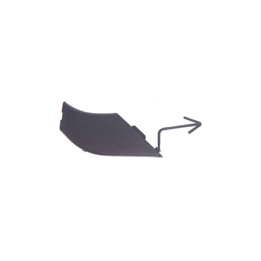 Blic 5513-00-2512928Q Flap, Tow Hook