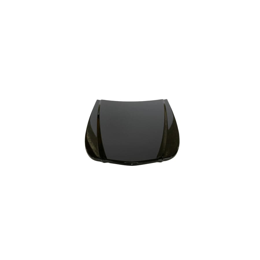 Abakus 01001100 Bonnet For Dacia Sandero I (Sd) | ML Performance UK