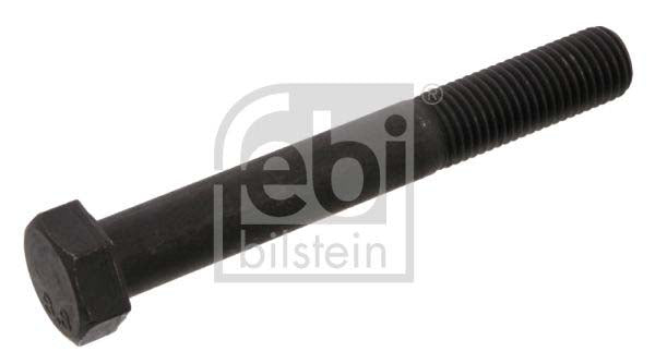 Febi Bilstein 15776 Screw | ML Performance UK Car Parts