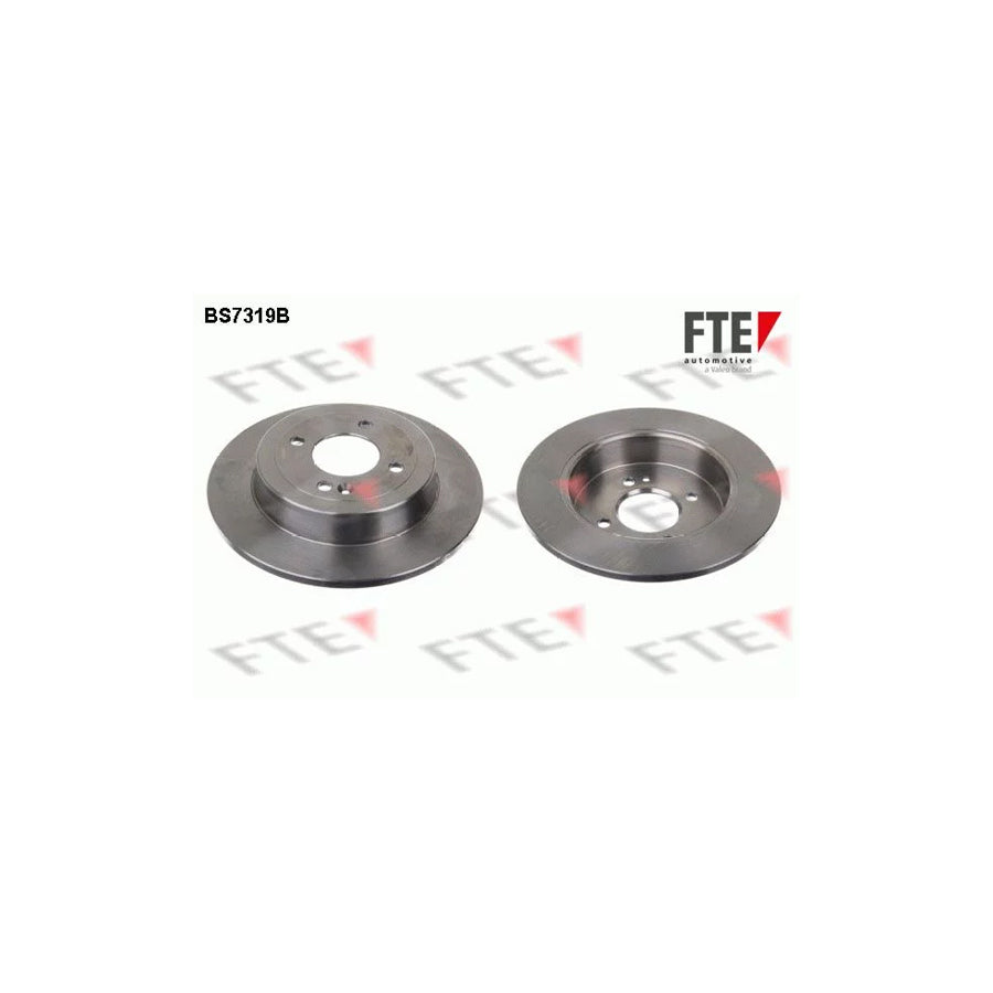 Fte BS7319B Brake Disc | ML Performance UK Car Parts