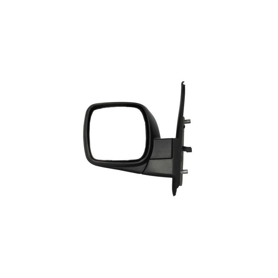 Blic 5402-04-1121580P Wing Mirror For Renault Kangoo