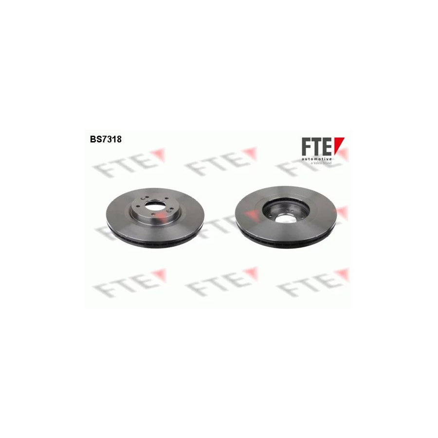 Fte BS7318 Brake Disc | ML Performance UK Car Parts