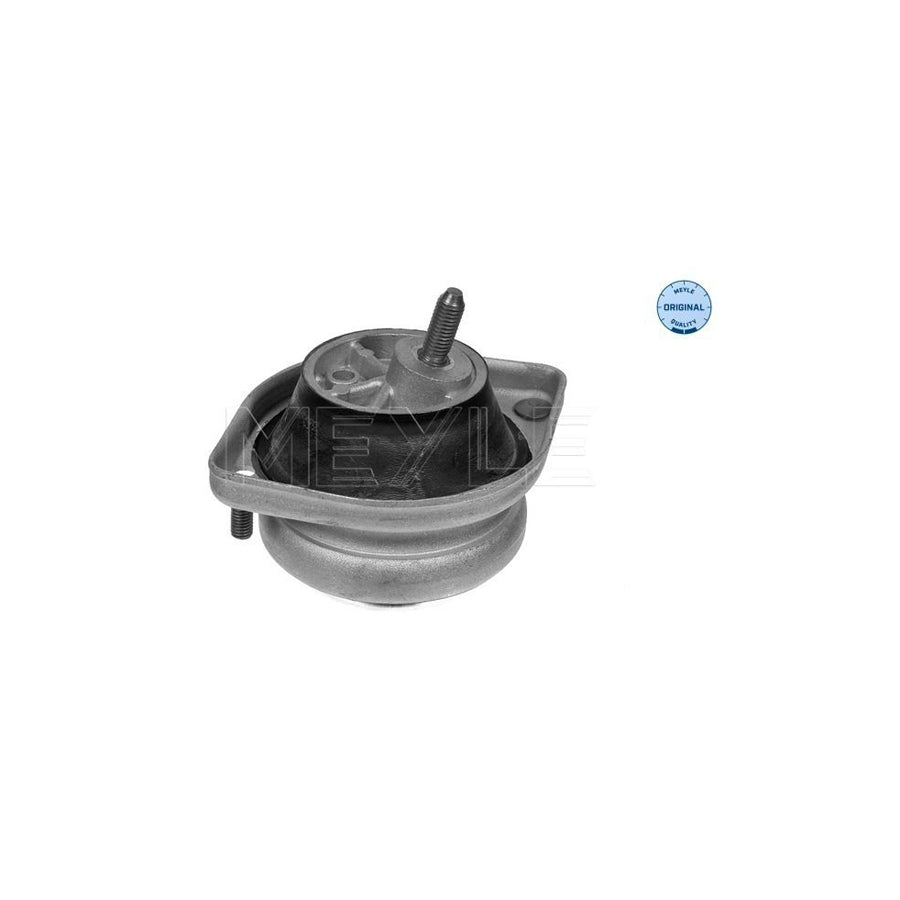 Meyle 300 221 1104 Engine Mount