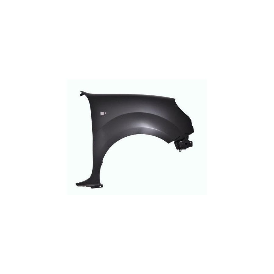 Abakus 04239212 Wing Fender For Renault Kangoo | ML Performance UK