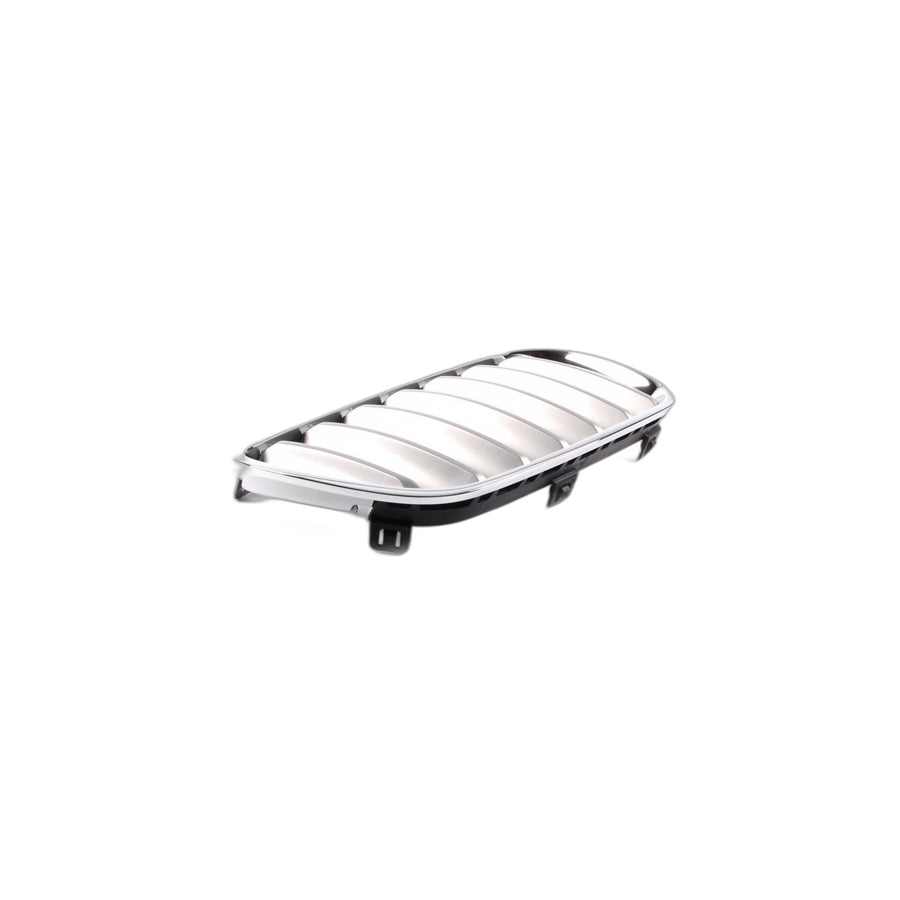 Genuine BMW 51113420090 E83 Grille, Front, Right TITAN (Inc. X3) | ML Performance UK Car Parts