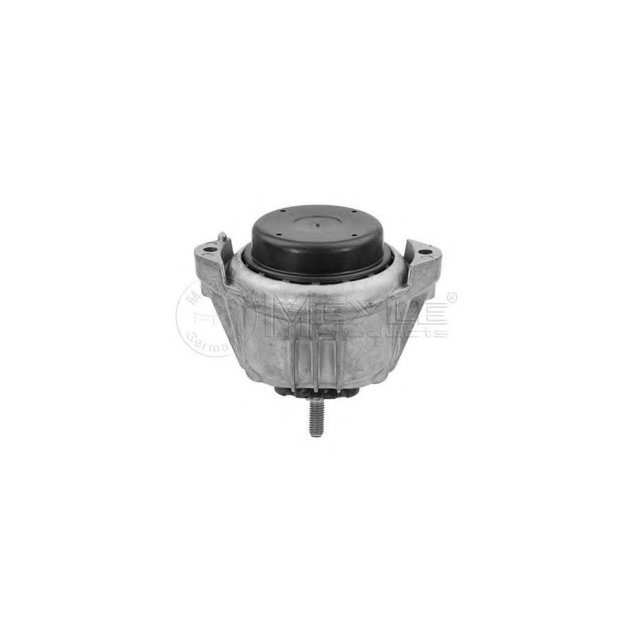 Meyle 300 221 1113 Engine Mount