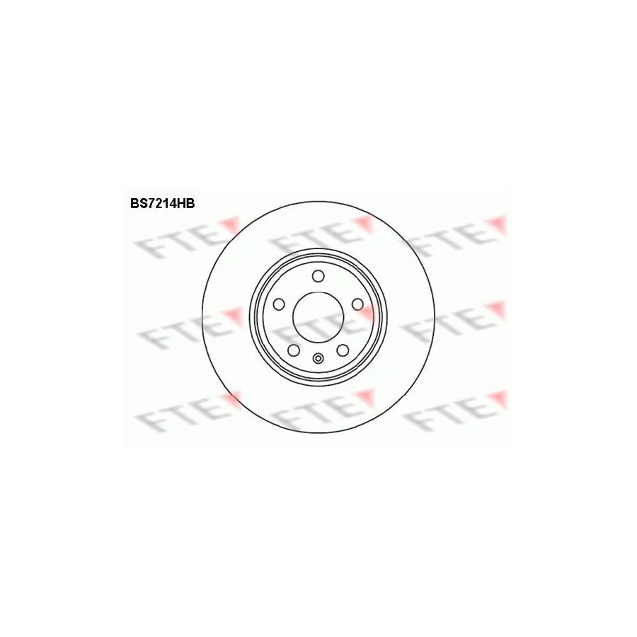 Fte 9082595 Brake Disc | ML Performance UK Car Parts