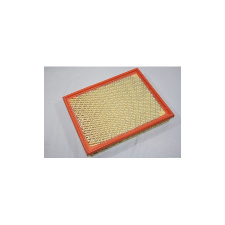 AUTOMEGA 180031510 Air Filter | ML Performance UK Car Parts