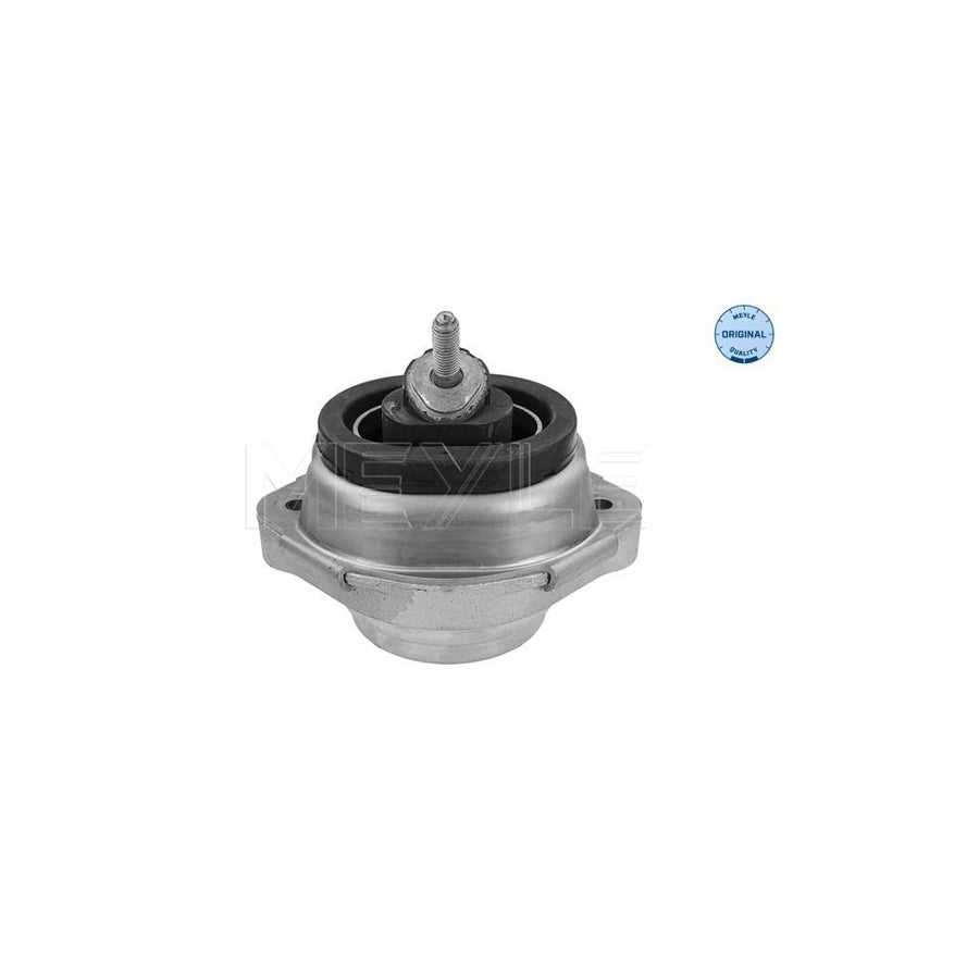 Meyle 300 221 1120 Engine Mount For BMW X5 (E53)