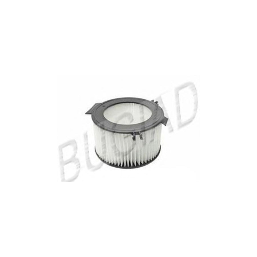 Bugiad BSP21009 Pollen Filter For Vw Transporter