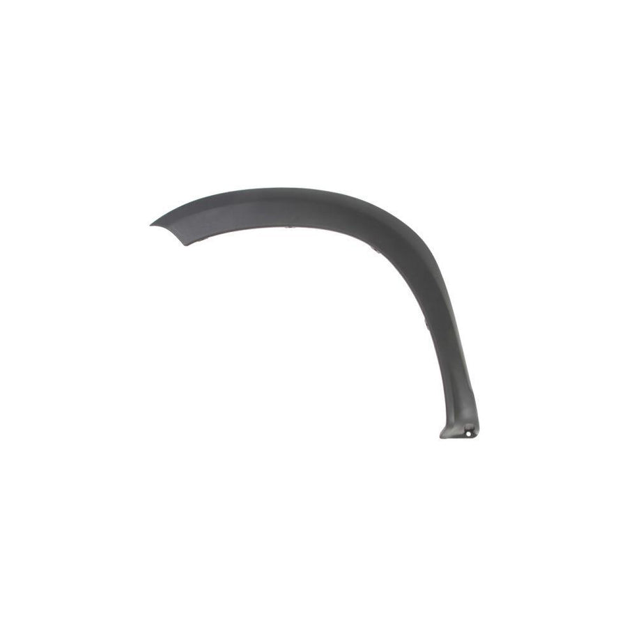 Blic 5703-08-1305377P Trim / Protective Strip, Mudguard