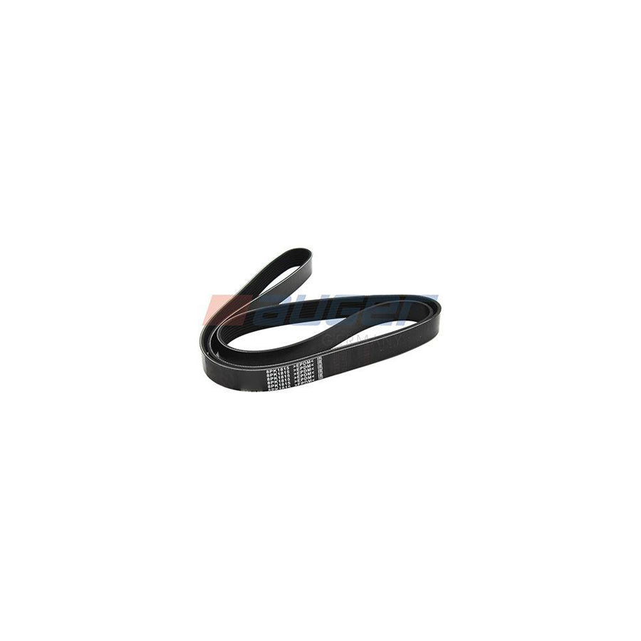 Auger 87701 V-Ribbed Belt