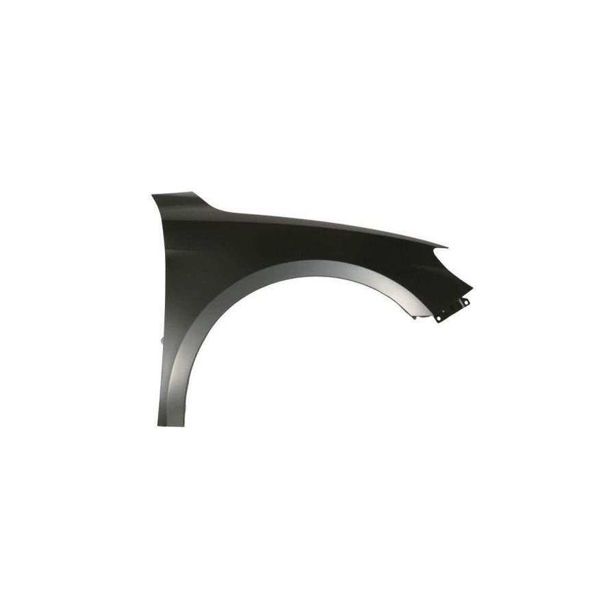 Blic 6504-04-0047312P Wing Fender For Audi A1