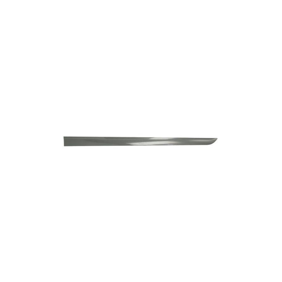 Blic 5703-04-5052575P Door Molding For Opel Astra