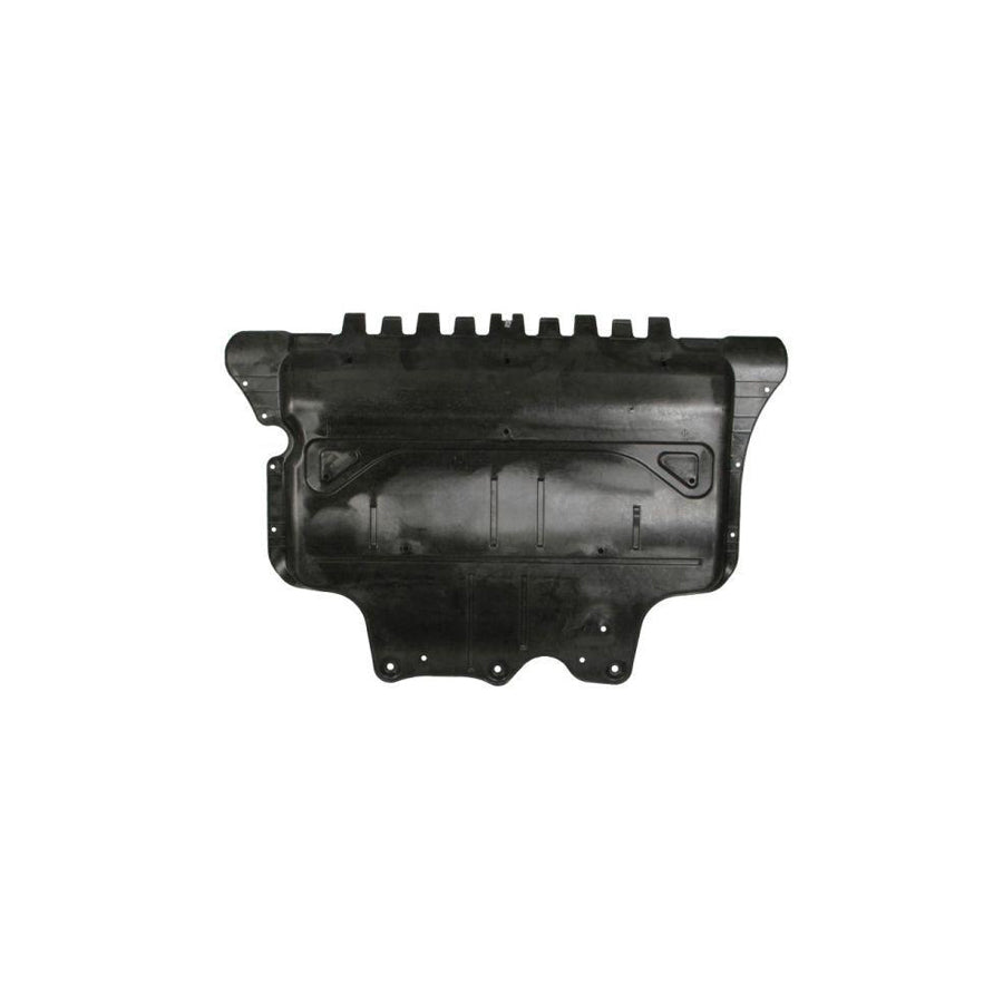 Blic 6601-02-9588861P Engine Cover