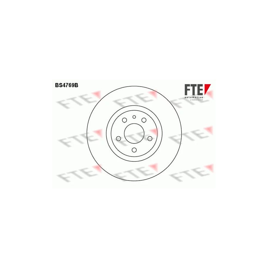 Fte BS4769B Brake Disc | ML Performance UK Car Parts