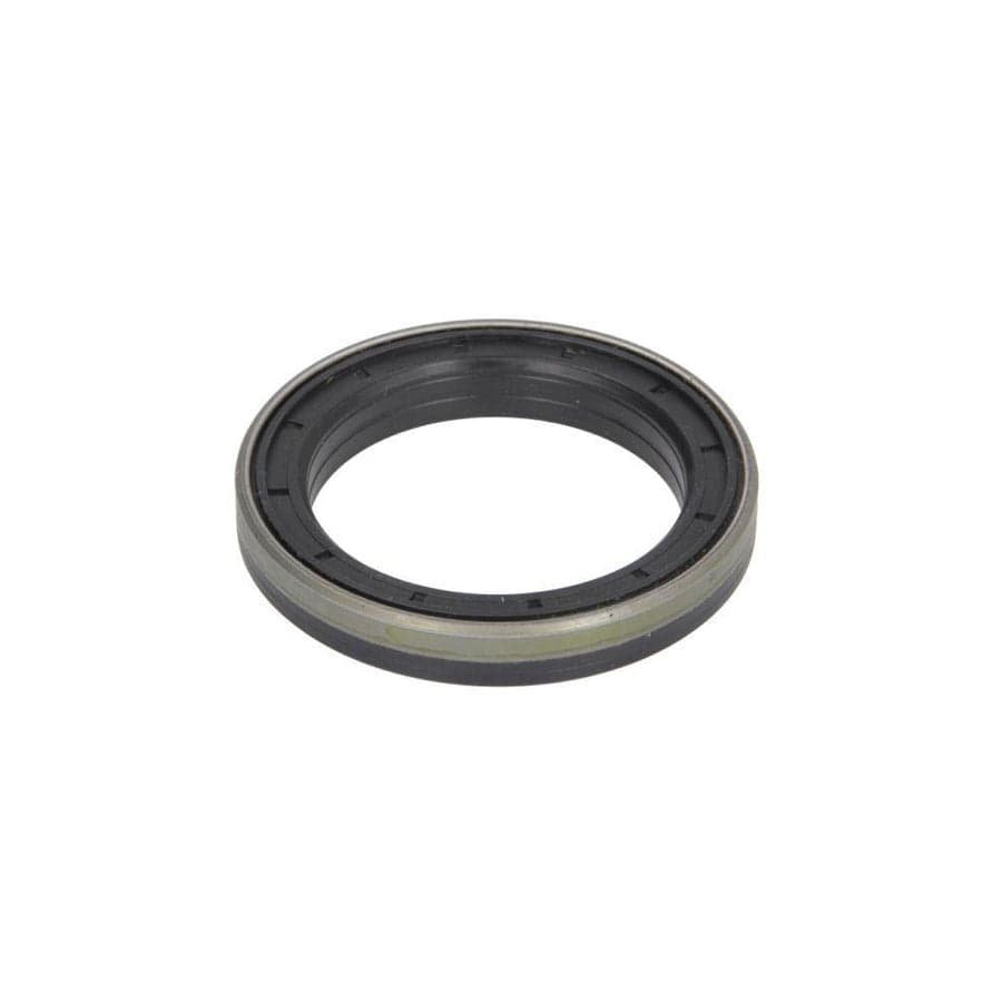 Bta B06-2172 Shaft Seal, Differential