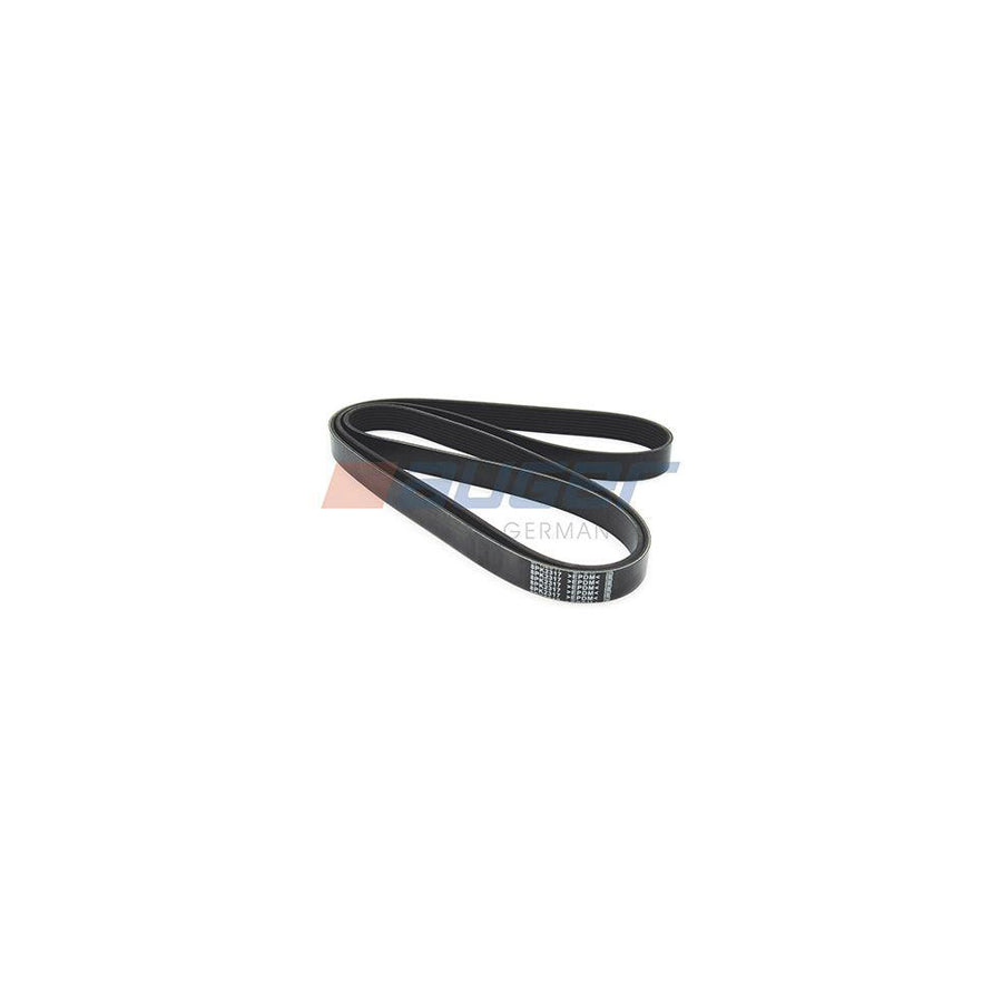 Auger 87742 V-Ribbed Belt