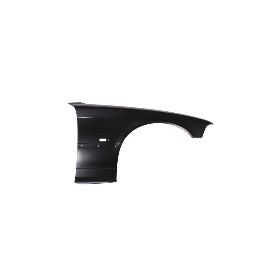 Blic 6504-04-00603114P Wing Fender For BMW 3 Series