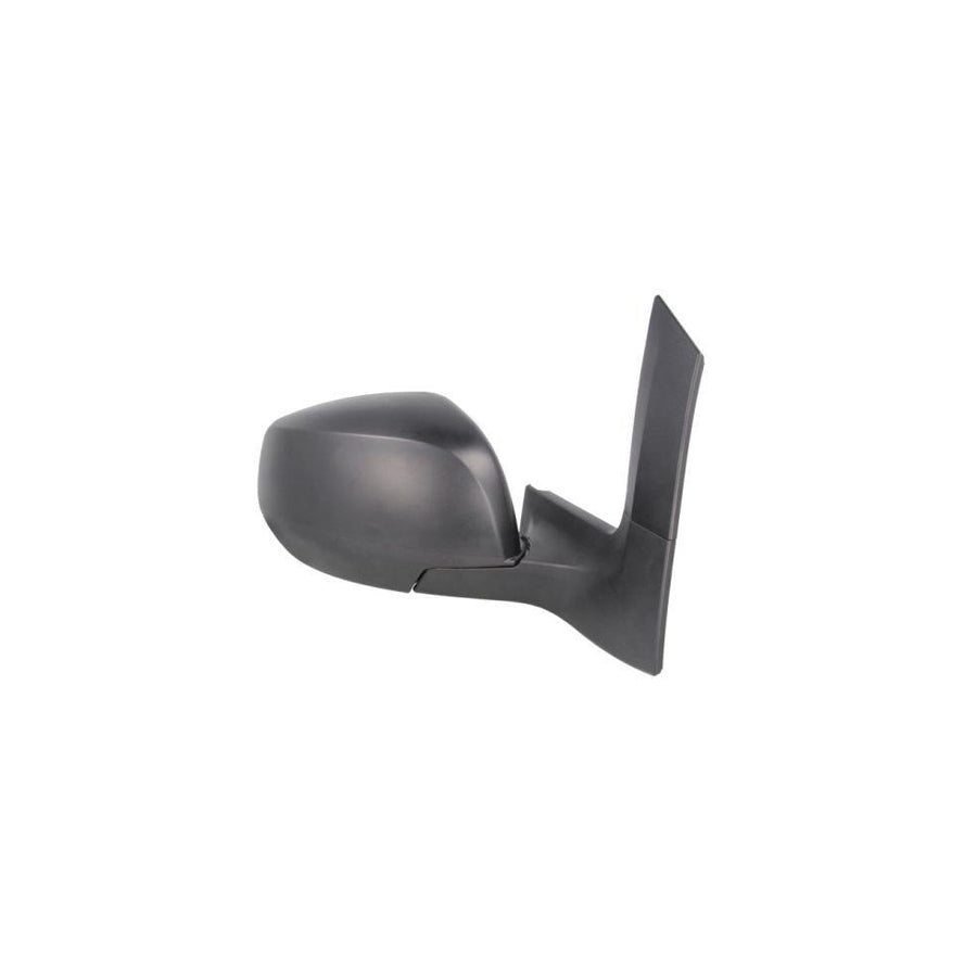 Blic 5402-04-2001966P Wing Mirror