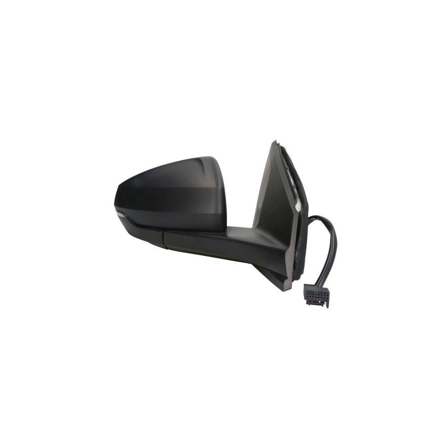 Blic 5402-04-1984362P Wing Mirror For VW Polo Vi (Aw1, Bz1)