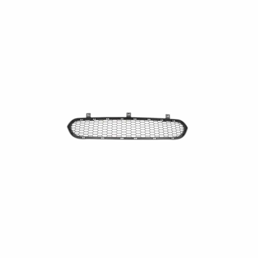 Genuine BMW 51117205560 E70 E71 Grill, Center Lower (Inc. X5 M & X6 M) | ML Performance UK Car Parts