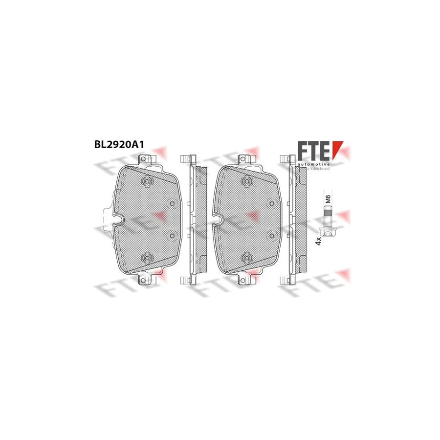 Fte 9011163 Brake Pad Set | ML Performance UK Car Parts