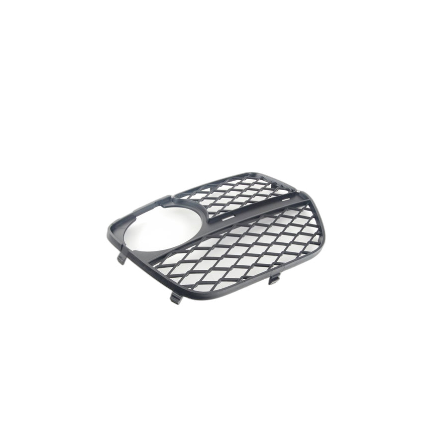 Genuine BMW 51117312604 E71 Open Grid, Right (Inc. X6) | ML Performance UK Car Parts