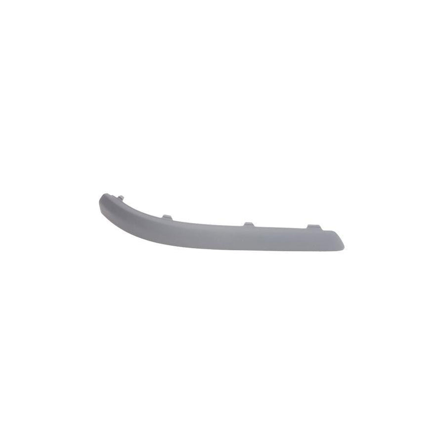 Blic 5513-00-2533980P Bumper Moulding For Ford Focus