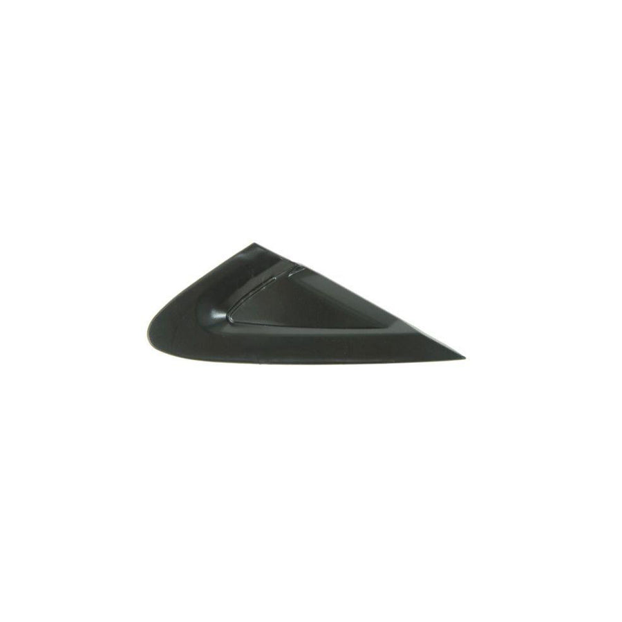 Blic 5703-08-2024372P Trim / Protective Strip, Mudguard