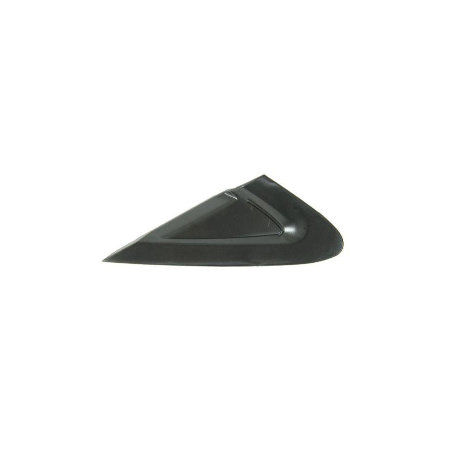 Blic 5703-08-2024371P Trim / Protective Strip, Mudguard