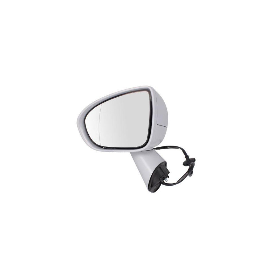 Blic 5402-04-2002001P Wing Mirror For Opel Meriva B (S10)