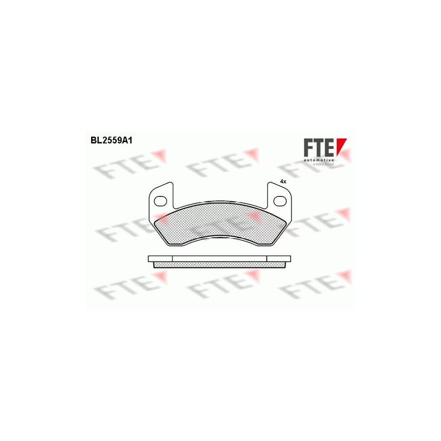 Fte BL2559A1 Brake Pad Set | ML Performance UK Car Parts