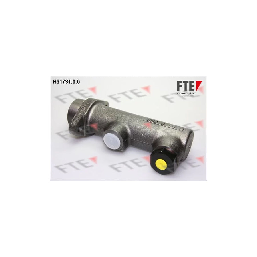 Fte H31731.0.0 Brake Master Cylinder | ML Performance UK Car Parts