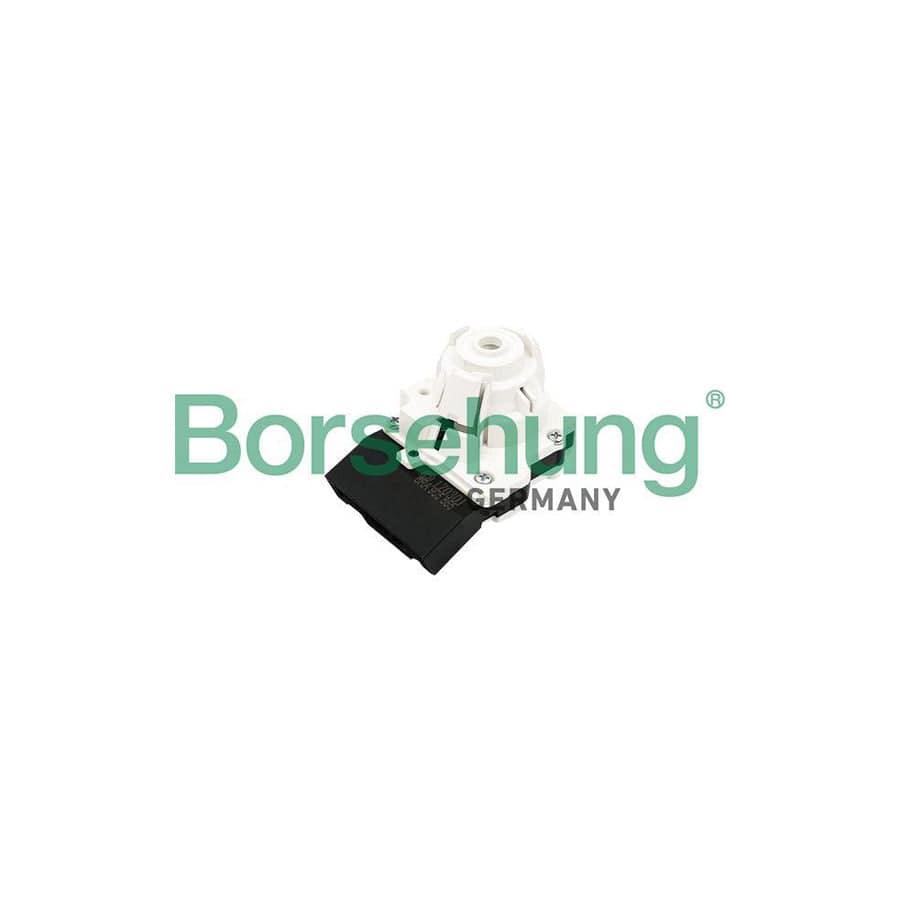 Borsehung B17988 Lock Cylinder, Ignition Lock