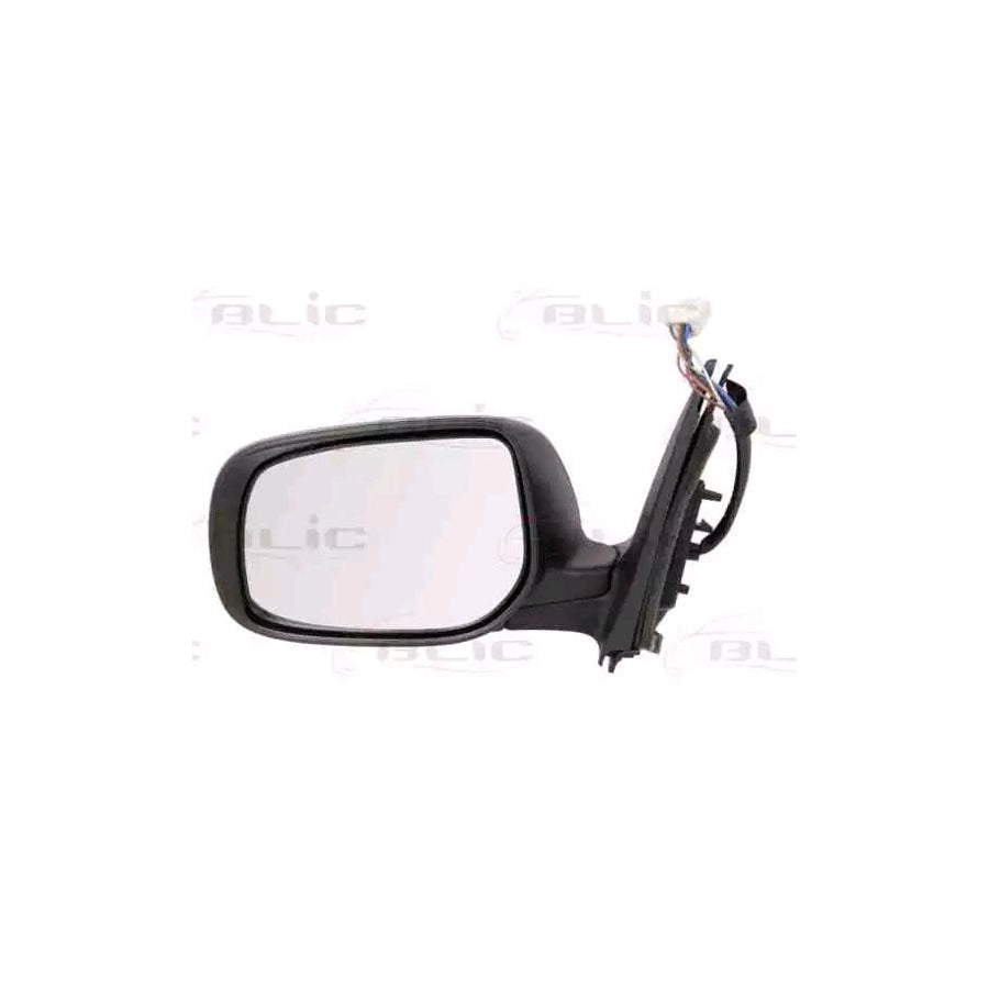 Blic 5402-19-2002469P Wing Mirror For Toyota Corolla X Saloon (E150)